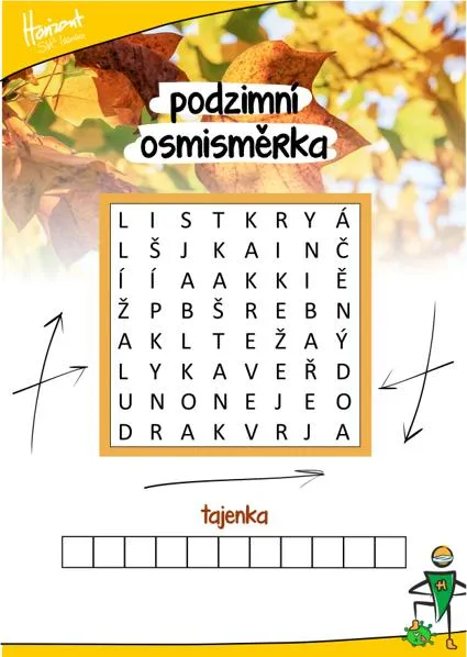 Osmisměrka